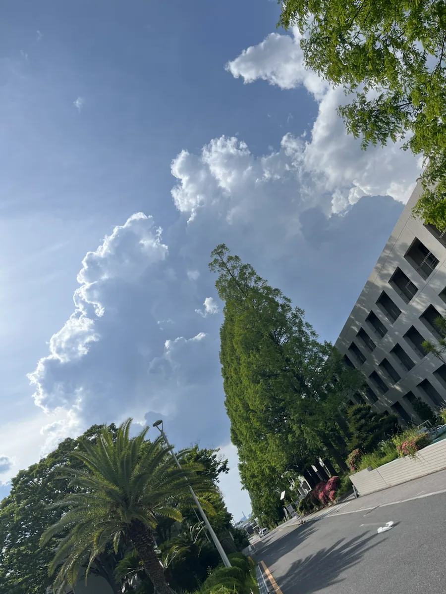 青空の下のキャンパスの門